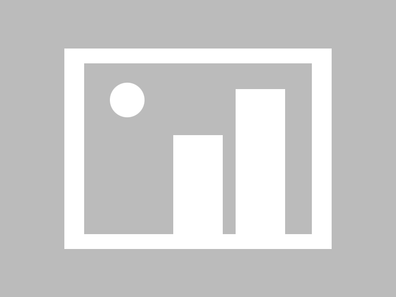 《老板度假去》电影简介--在线免费观看高清完整版英语_1989年喜剧片